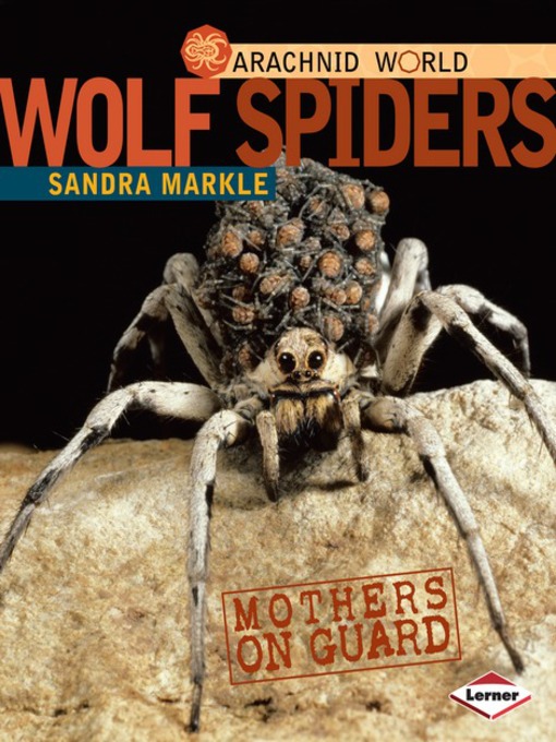 Title details for Wolf Spiders by Sandra Markle - Available